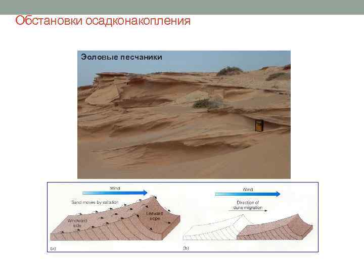 Обстановки осадконакопления Эоловые песчаники 