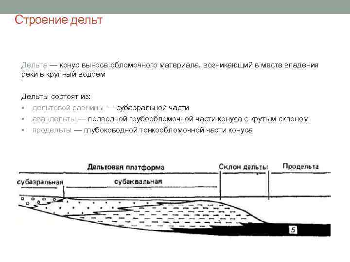 Строение дельт Дельта — конус выноса обломочного материала, возникающий в месте впадения реки в