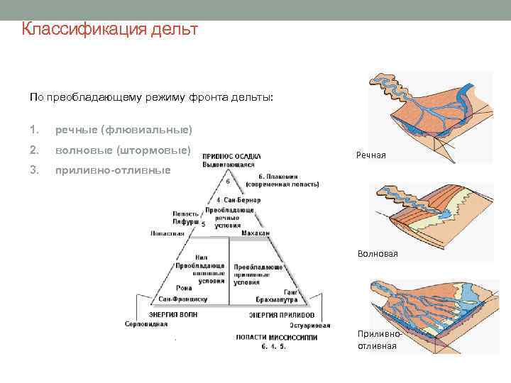 Классификация дельт По преобладающему режиму фронта дельты: 1. речные (флювиальные) 2. волновые (штормовые) 3.