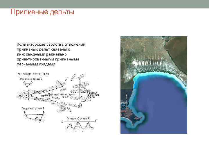  Приливные дельты Коллекторские свойства отложений приливных дельт связаны с линзовидными радиально ориентированными приливными