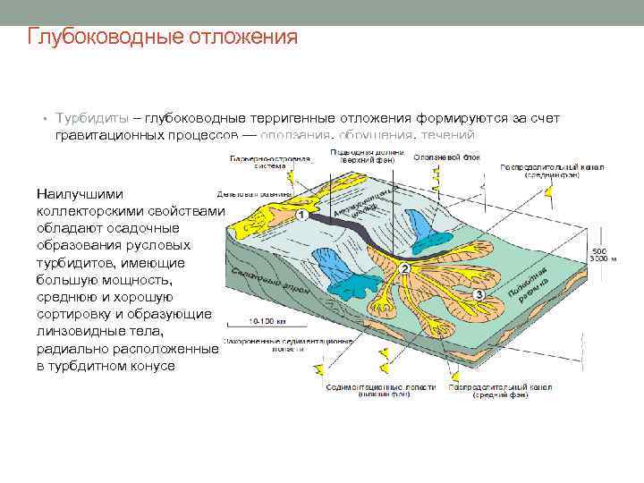 Глубоководные отложения • Турбидиты – глубоководные терригенные отложения формируются за счет гравитационных процессов —