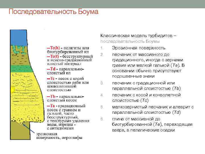 Последовательность Боума Классическая модель турбидитов – последовательность Боумы 1. Эрозионная поверхность 2. песчаник от