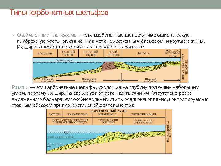 Типы карбонатных шельфов • Окаймленные платформы — это карбонатные шельфы, имеющие плоскую прибрежную часть,
