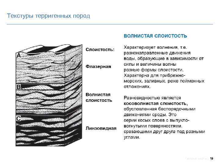 Текстуры терригенных пород Газпром нефть 19 