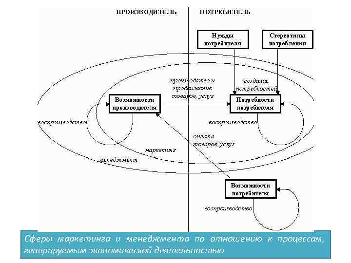 Сферы маркетинга и менеджмента по отношению к процессам, генерируемым экономической деятельностью 