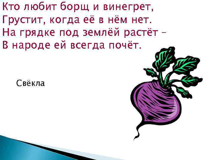 Кто любит борщ и винегрет, Грустит, когда её в нём нет. На грядке под