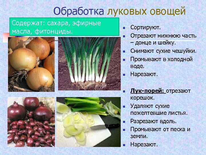 Обработка луковых овощей Содержат: сахара, эфирные масла, фитонциды. n n n n n Сортируют.