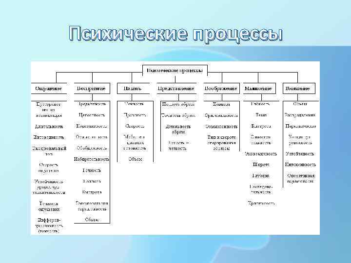 Психические процессы 