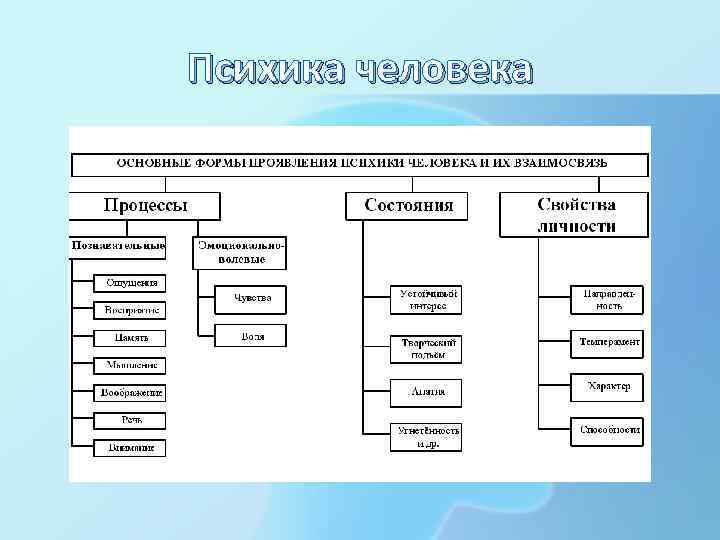 Психика человека 