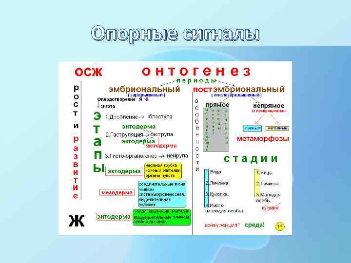 Опорные сигналы 