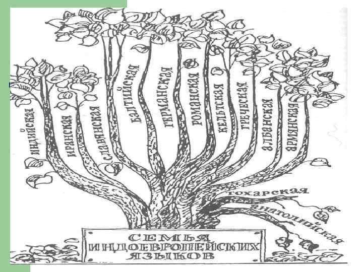 Язык древо жизни на земле рязань 2024. Индоевропейская семья Древо. Дерево языков индоевропейской семьи.