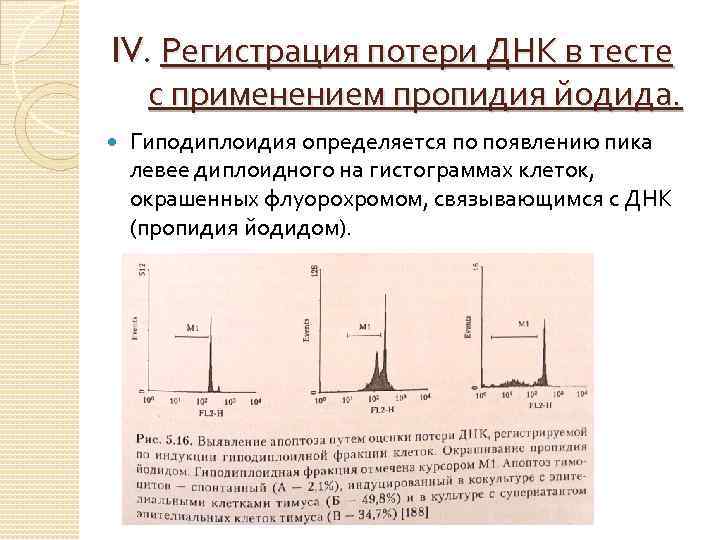 IV. Регистрация потери ДНК в тесте с применением пропидия йодида. Гиподиплоидия определяется по появлению