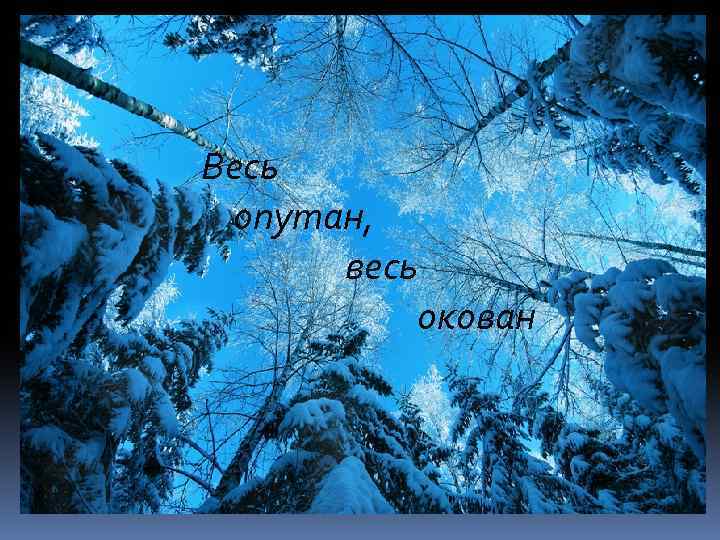 Весь опутан, весь окован 