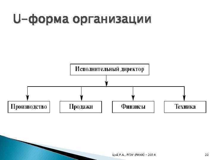 U-форма организации Цой Р. А. , РГЭУ (РИНХ) - 2014 22 