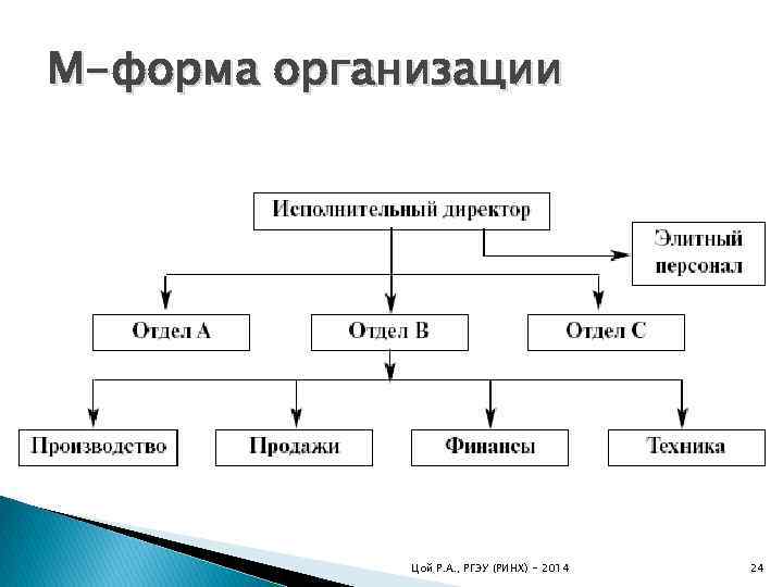 M-форма организации Цой Р. А. , РГЭУ (РИНХ) - 2014 24 