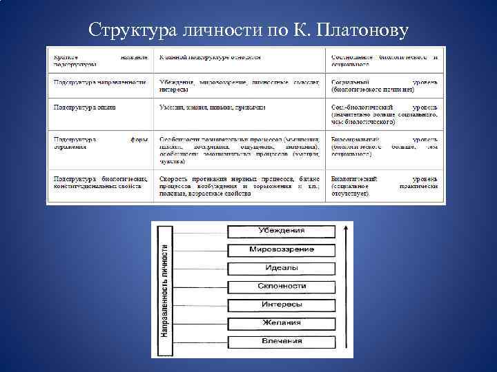Структура личности по К. Платонову 