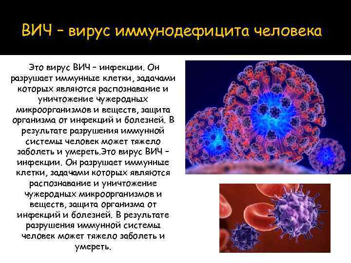 Каковы пути заражения человека вирусом иммунодефицита. Вирус ВИЧ. Вирус иммунодефицита (ВИЧ). ВИЧ разрушает иммунную систему. ВИЧ описание вируса.
