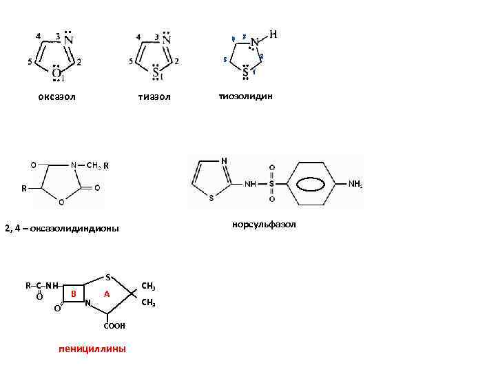 4 3 2 5 1 тиазол оксазол тиозолидин R R норсульфазол 2, 4 –