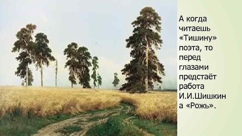 А когда читаешь «Тишину» поэта, то перед глазами предстаёт работа И. И. Шишкин а