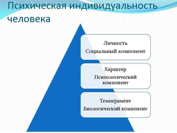 Психическая индивидуальность человека Личность Социальный компонент Характер Психологический компонент Темперамент Биологический компонент 