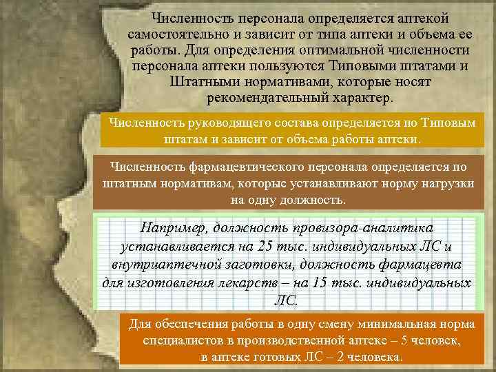 Численность персонала определяется аптекой самостоятельно и зависит от типа аптеки и объема ее работы.