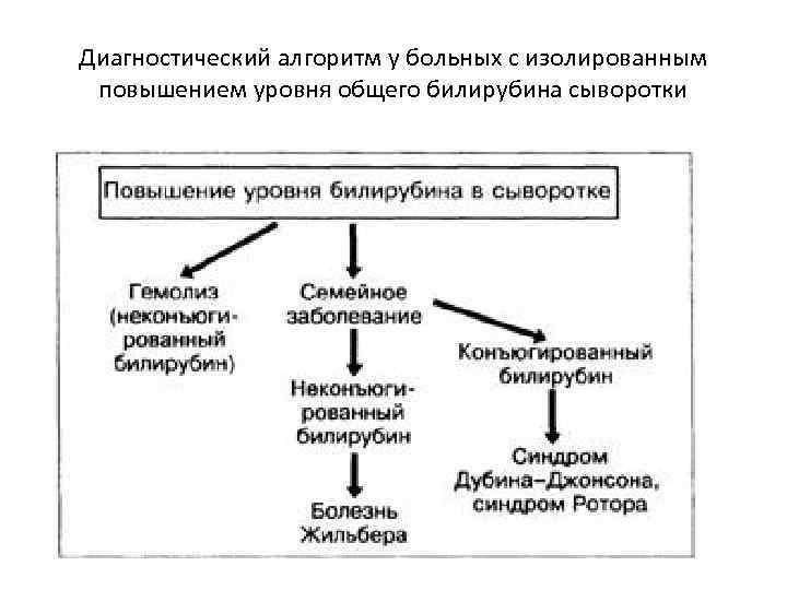 Диагностический алгоритм у больных с изолированным повышением уровня общего билирубина сыворотки 