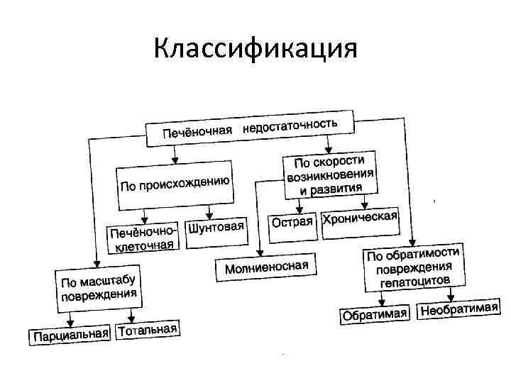 Классификация 