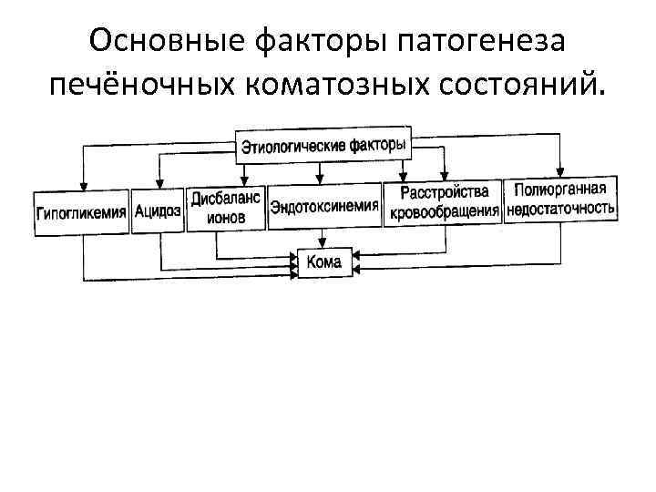Основные факторы патогенеза печёночных коматозных состояний. 