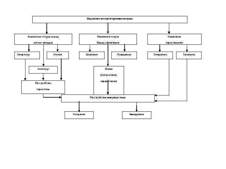 Нарушение моторной функции желудка Изменение тонуса мышц Изменение тонуса Изменение стенки желудка Мышц сфинктеров