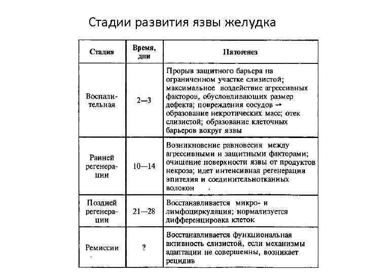 Стадии развития язвы желудка 