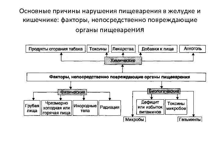 Факторы непосредственно. Факторы риска заболеваний пищеварительной системы. Факторы риска развития болезней органов пищеварения. Факторы повреждающие органы пищеварения. Факторы непосредственно повреждающие органы пищеварения.