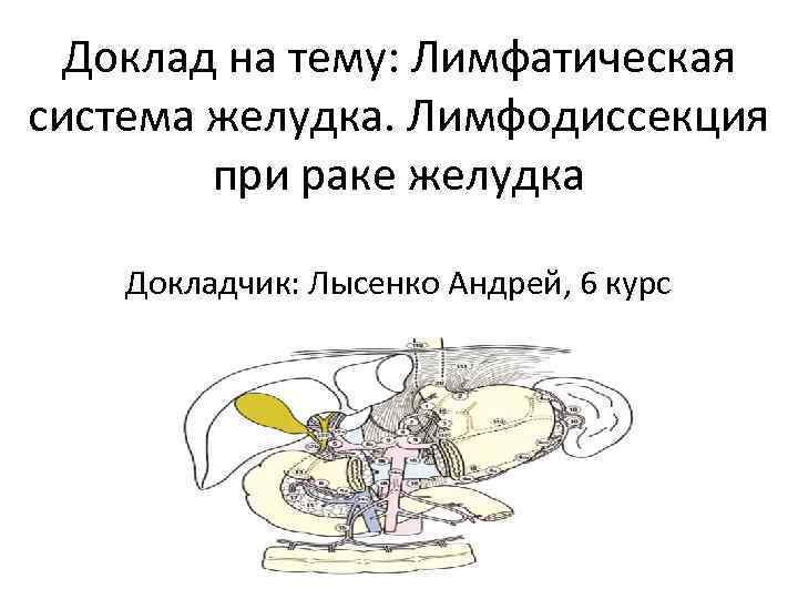 Доклад на тему: Лимфатическая система желудка. Лимфодиссекция при раке желудка Докладчик: Лысенко Андрей, 6