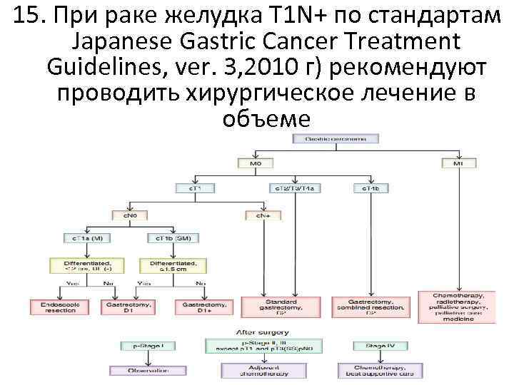 15. При раке желудка T 1 N+ по стандартам Japanese Gastric Cancer Treatment Guidelines,