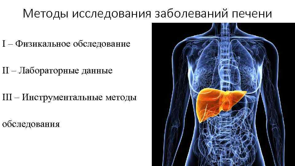 Методы исследования заболеваний печени I – Физикальное обследование II – Лабораторные данные III –