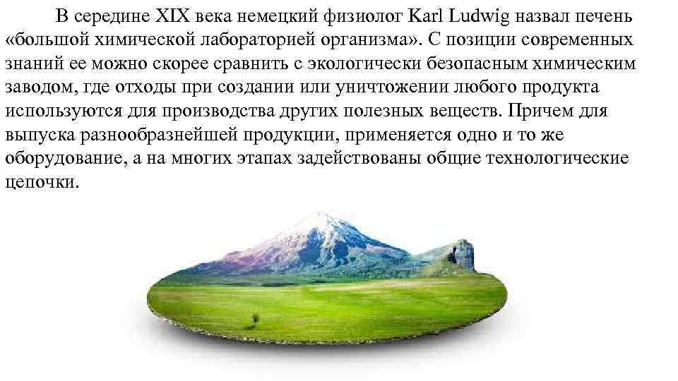 В середине XIX века немецкий физиолог Karl Ludwig назвал печень «большой химической лабораторией организма»