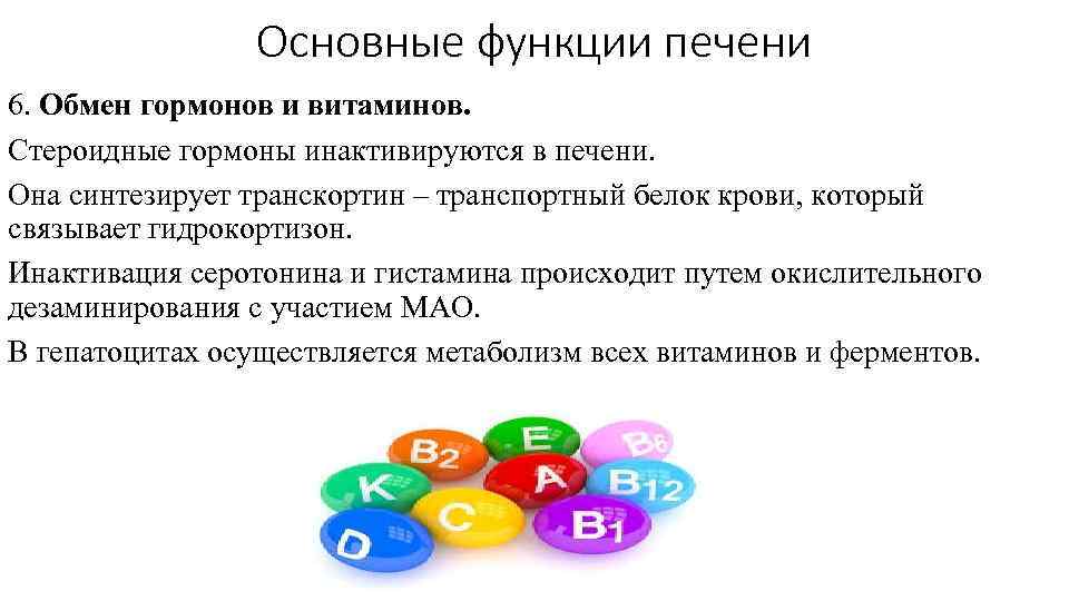 Основные функции печени 6. Обмен гормонов и витаминов. Стероидные гормоны инактивируются в печени. Она