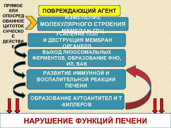 ПРЯМОЕ ИЛИ ОПОСРЕД ОВАННОЕ ЦИТОТОК СИЧЕСКО Е ДЕЙСТВИ Е ПОВРЕЖДАЮЩИЙ АГЕНТ ИЗМЕНЕНИЕ МОЛЕКУЛЯРНОГО СТРОЕНИЯ