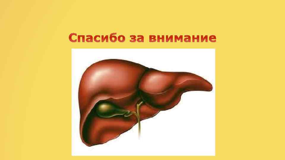 Спасибо за внимание 