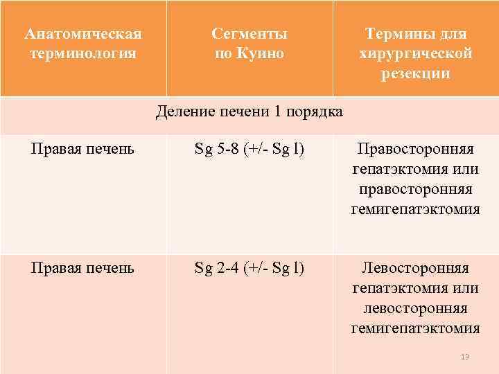 Анатомическая терминология Сегменты по Куино Термины для хирургической резекции Деление печени 1 порядка Правая