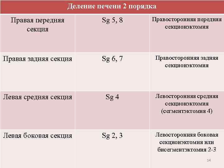 Деление печени 2 порядка Правая передняя секция Sg 5, 8 Правосторонняя передняя секционэктомия Правая