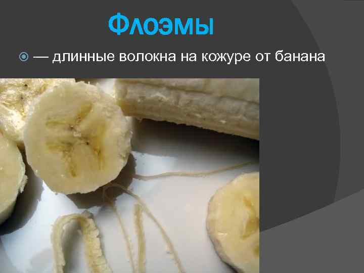 Флоэмы — длинные волокна на кожуре от банана 