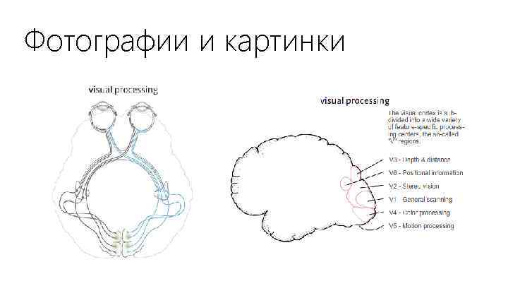 Фотографии и картинки 