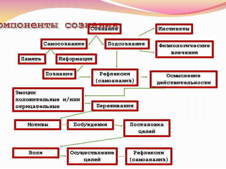 омпоненты сознания Сознание Самосознание Память Подсознание Физиологические влечения Информация Познание Рефлексия (самоанализ) Эмоции положительные