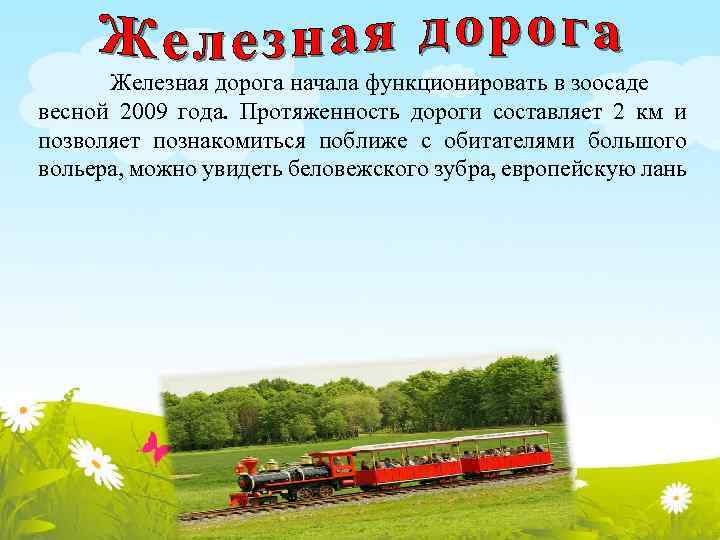 Железная дорога начала функционировать в зоосаде весной 2009 года. Протяженность дороги составляет 2 км