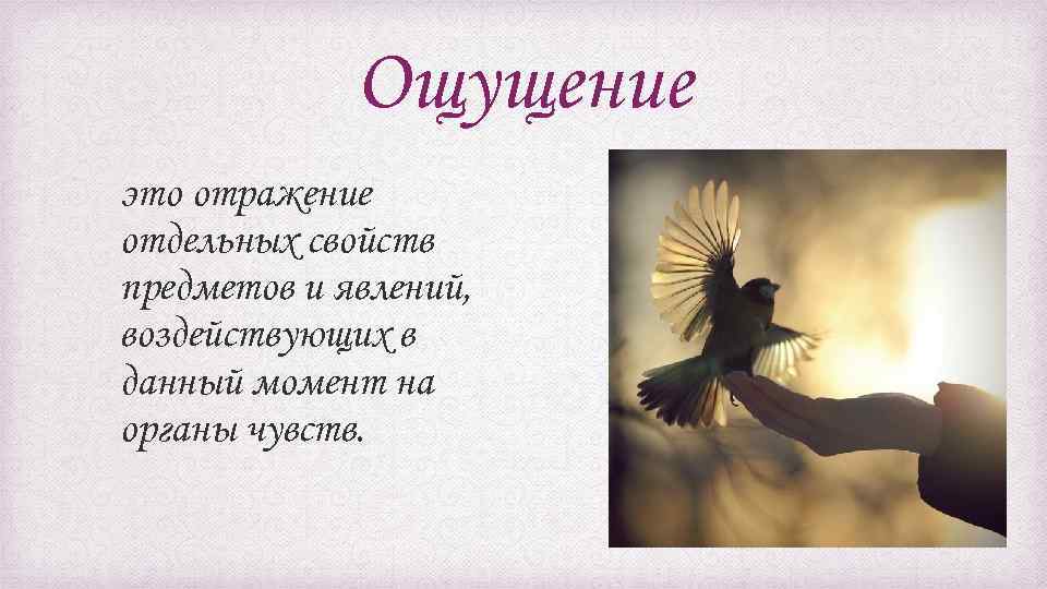 Ощущение это отражение отдельных свойств предметов и явлений, воздействующих в данный момент на органы