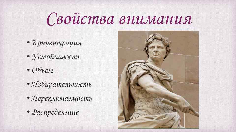 Свойства внимания • Концентрация • Устойчивость • Объем • Избирательность • Переключаемость • Распределение