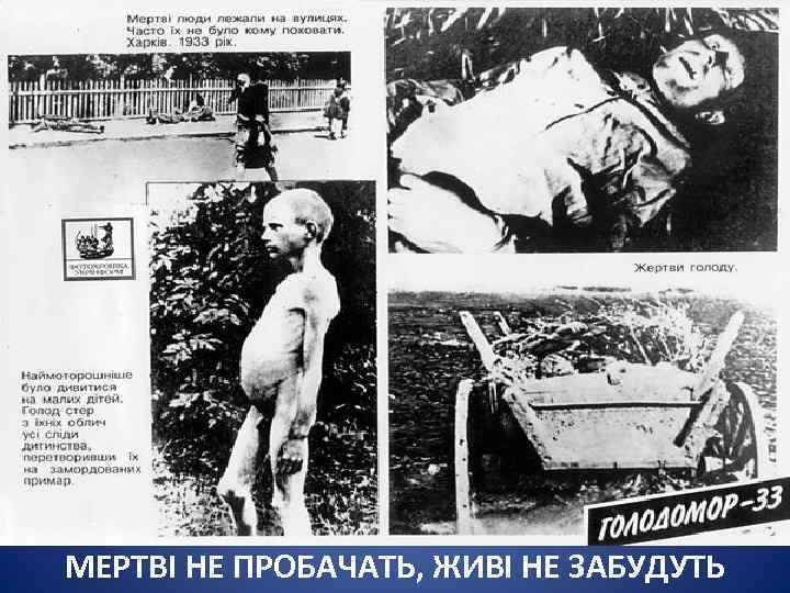 МЕРТВІ НЕ ПРОБАЧАТЬ, ЖИВІ НЕ ЗАБУДУТЬ 