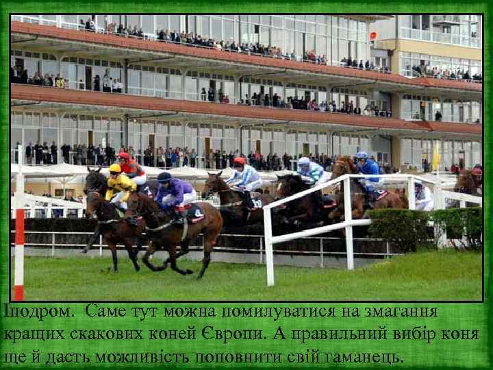Іподром. Саме тут можна помилуватися на змагання кращих скакових коней Європи. А правильний вибір