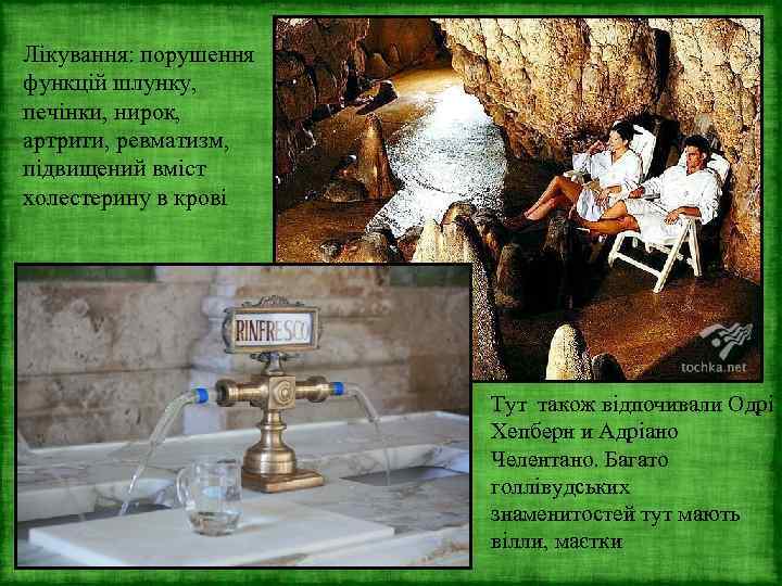 Лікування: порушення функцій шлунку, печінки, нирок, артрити, ревматизм, підвищений вміст холестерину в крові Тут