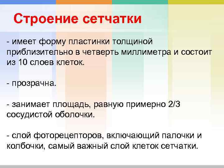 Строение сетчатки - имеет форму пластинки толщиной приблизительно в четверть миллиметра и состоит из